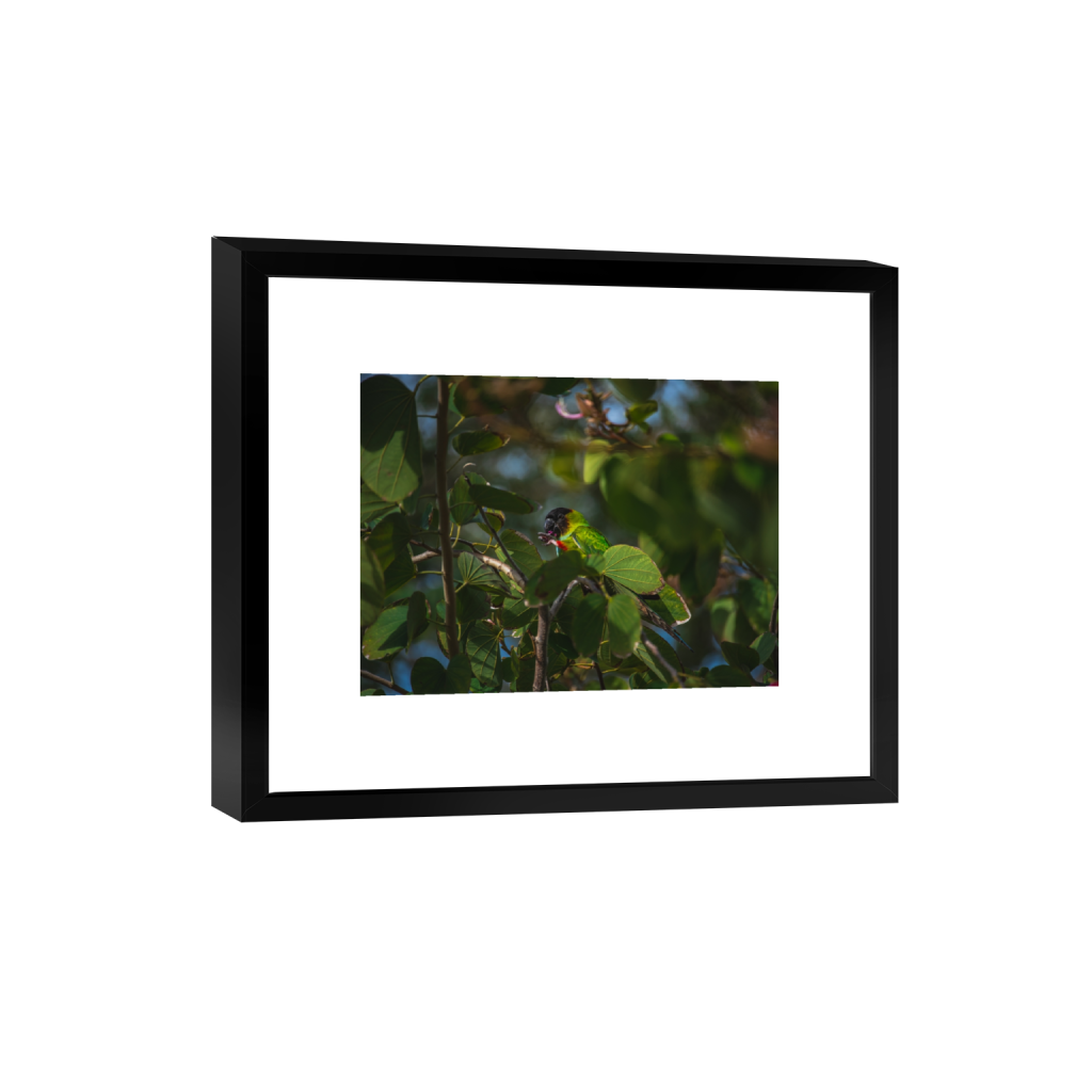 smartframe_rectangle3_4_330_0_5354_4016_0.png