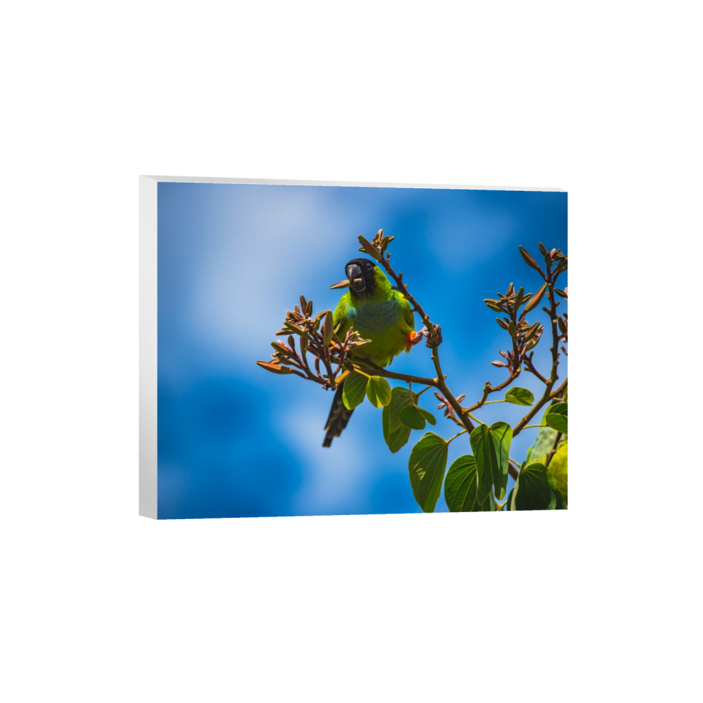 canvas_rectangle4_5_498_0_5020_4016_0.png