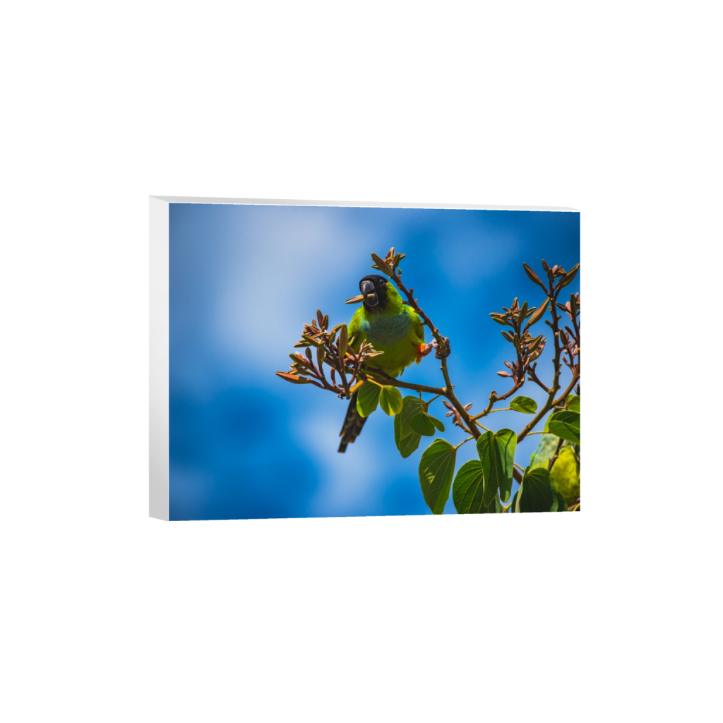 canvas_rectangle3_4_330_0_5354_4016_0.png