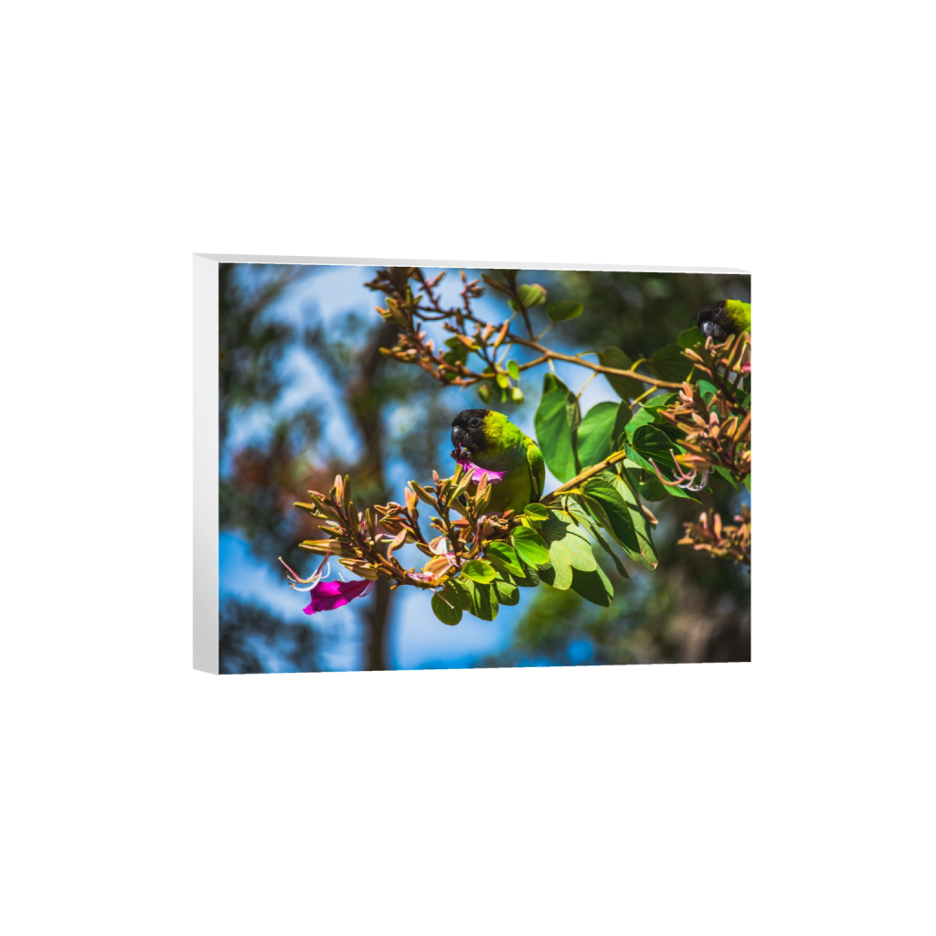 canvas_rectangle3_4_330_0_5354_4016_0.png