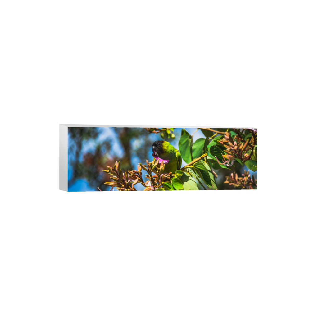 canvas_rectangle1_3_0_1005_6016_2005_0.png