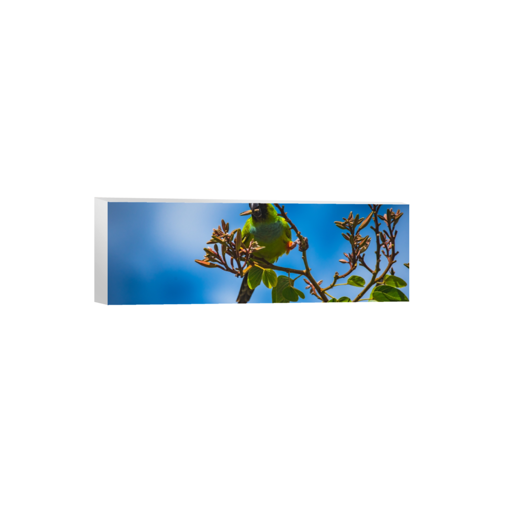 canvas_rectangle1_3_0_1005_6016_2005_0.png
