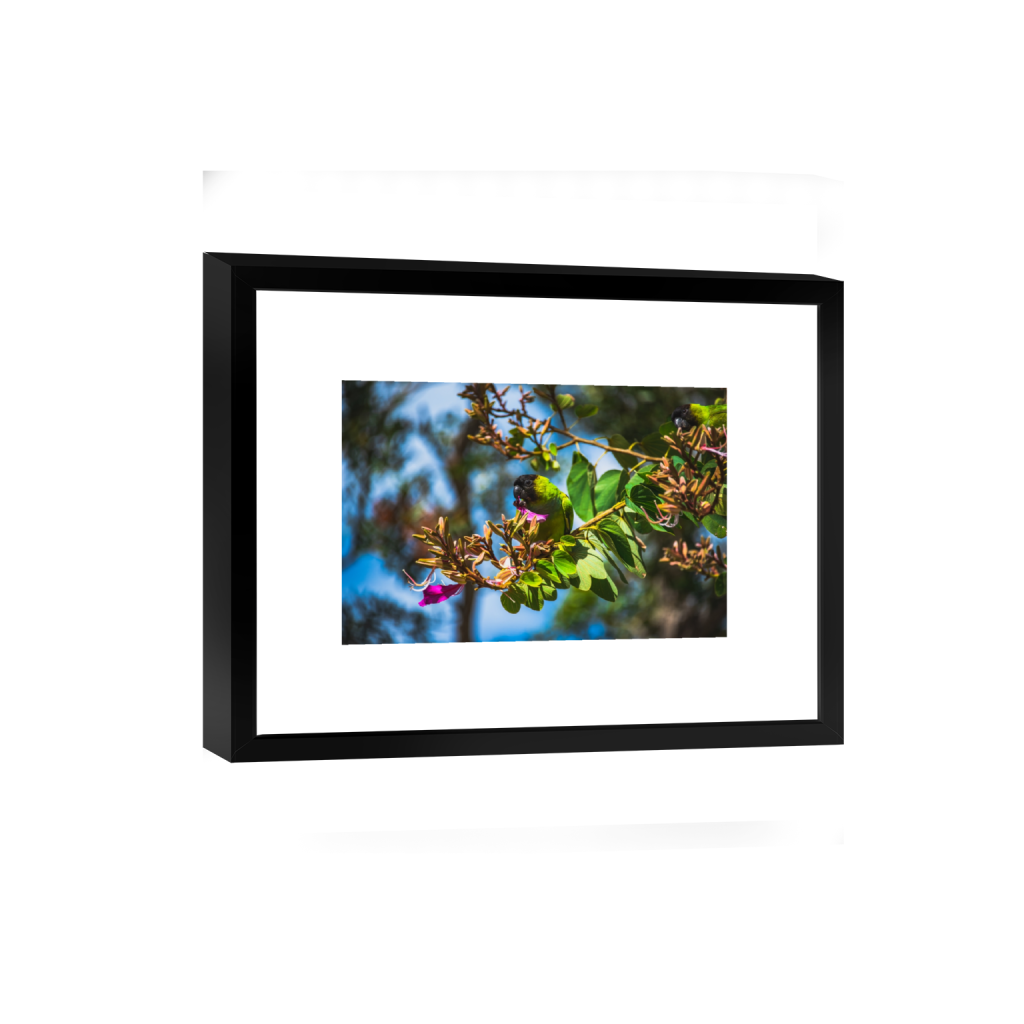 smartframe_rectangle2_3_0_2_6016_4010_0.png