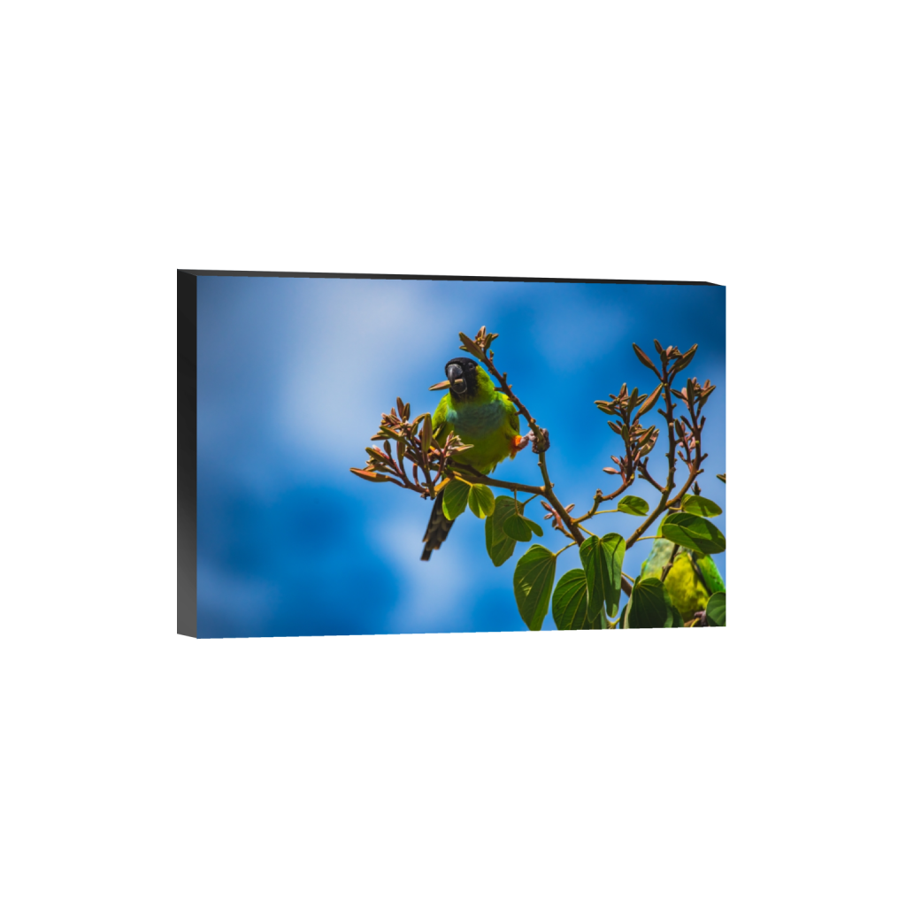standout_rectangle2_3_0_2_6016_4010_0.png