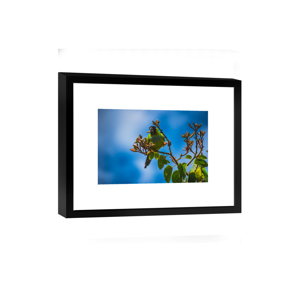 smartframe_rectangle2_3_0_2_6016_4010_0.png