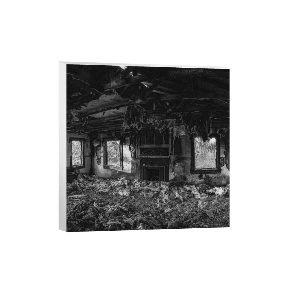 canvas_square_3465_0_5353_5353_0.png