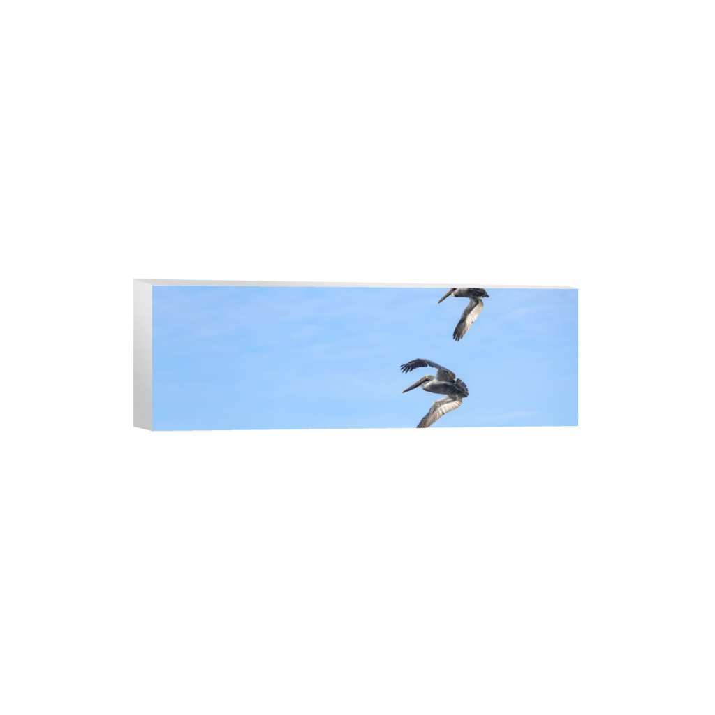 canvas_rectangle1_3_0_713_4269_1423_0.png