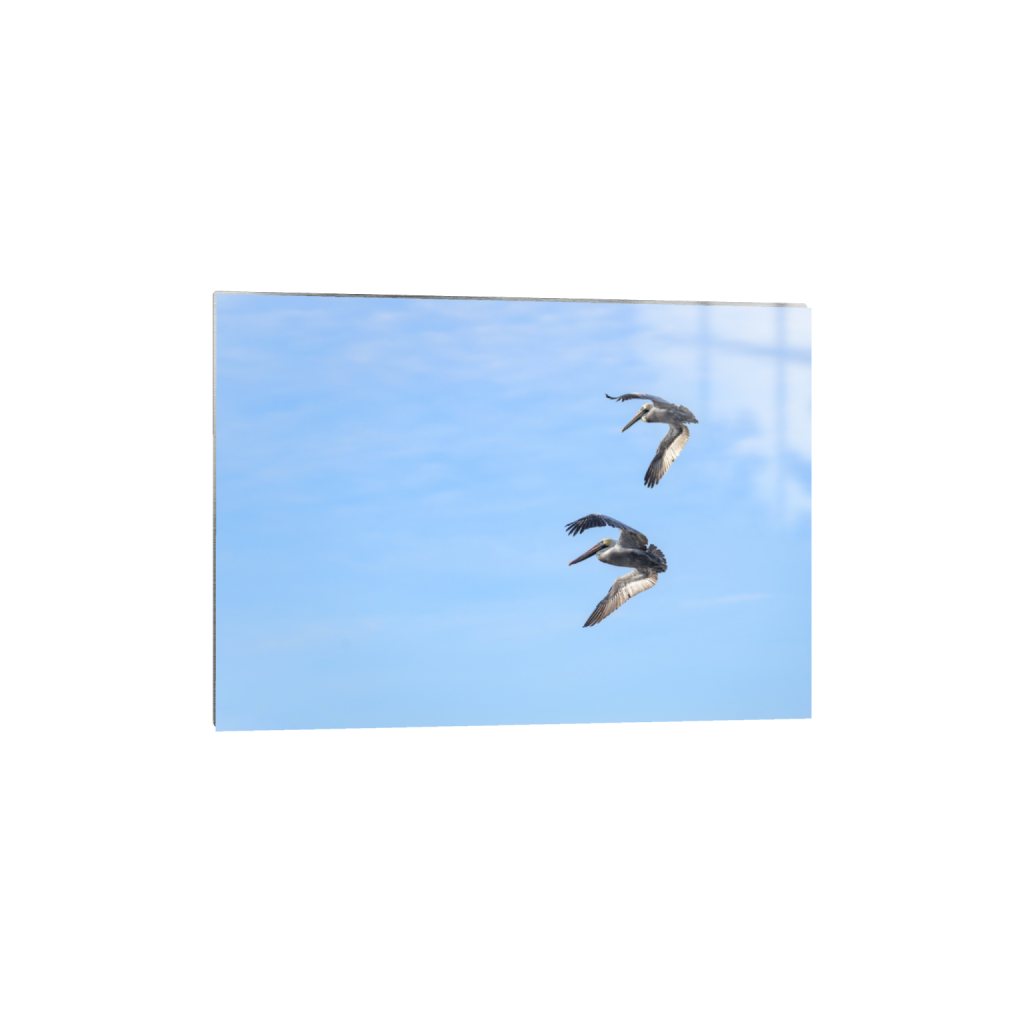 metalprint_rectangle5_7_139_0_3990_2850_0.png