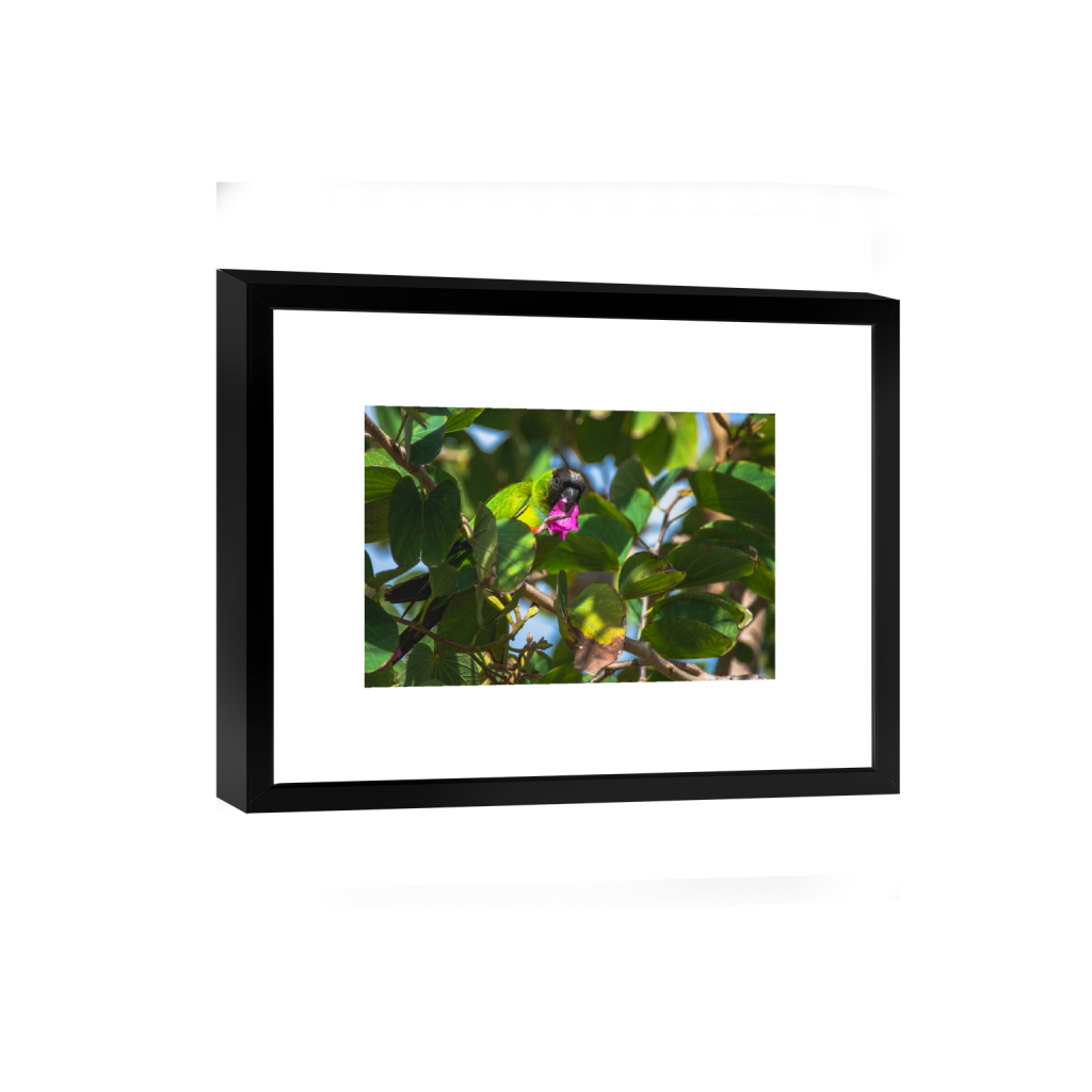 smartframe_rectangle2_3_0_1_3738_2492_0.png
