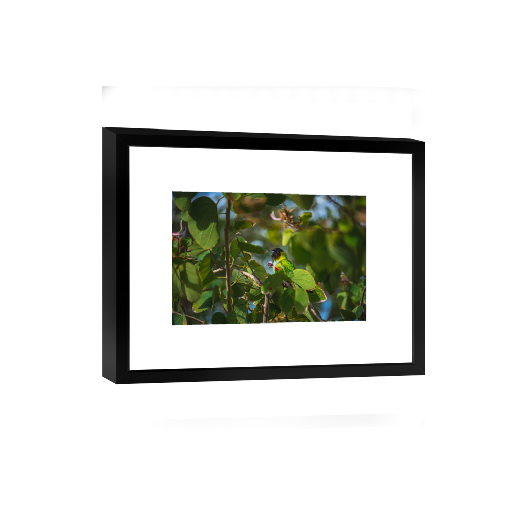 smartframe_rectangle2_3_0_2_6016_4010_0.png