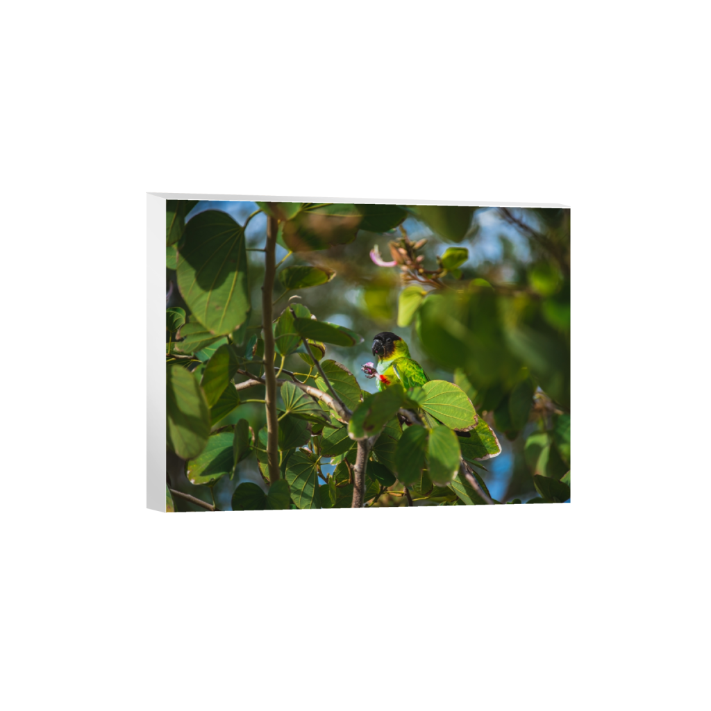 canvas_rectangle3_4_330_0_5354_4016_0.png