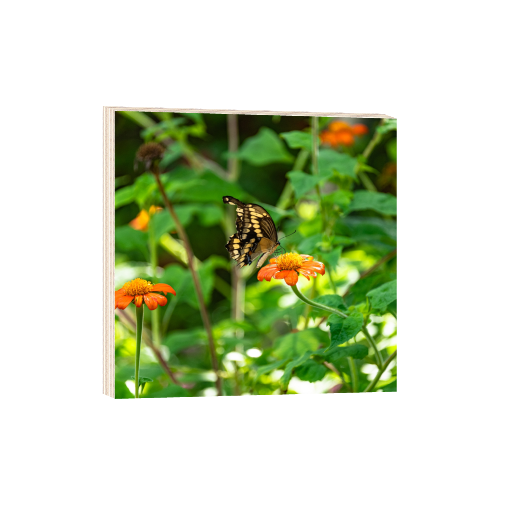woodprint_square_1000_0_4016_4016_0.png