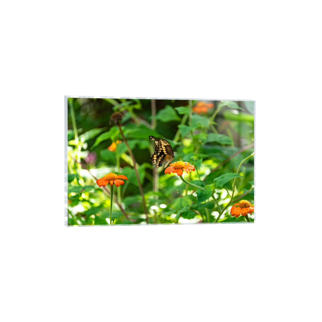 acrylicprint_rectangle2_3_0_2_6016_4010_0.png
