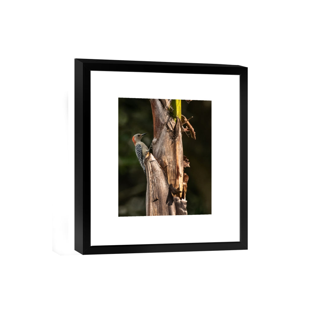 smartframe_rectangle4_5_0_426_1926_2407_0.png