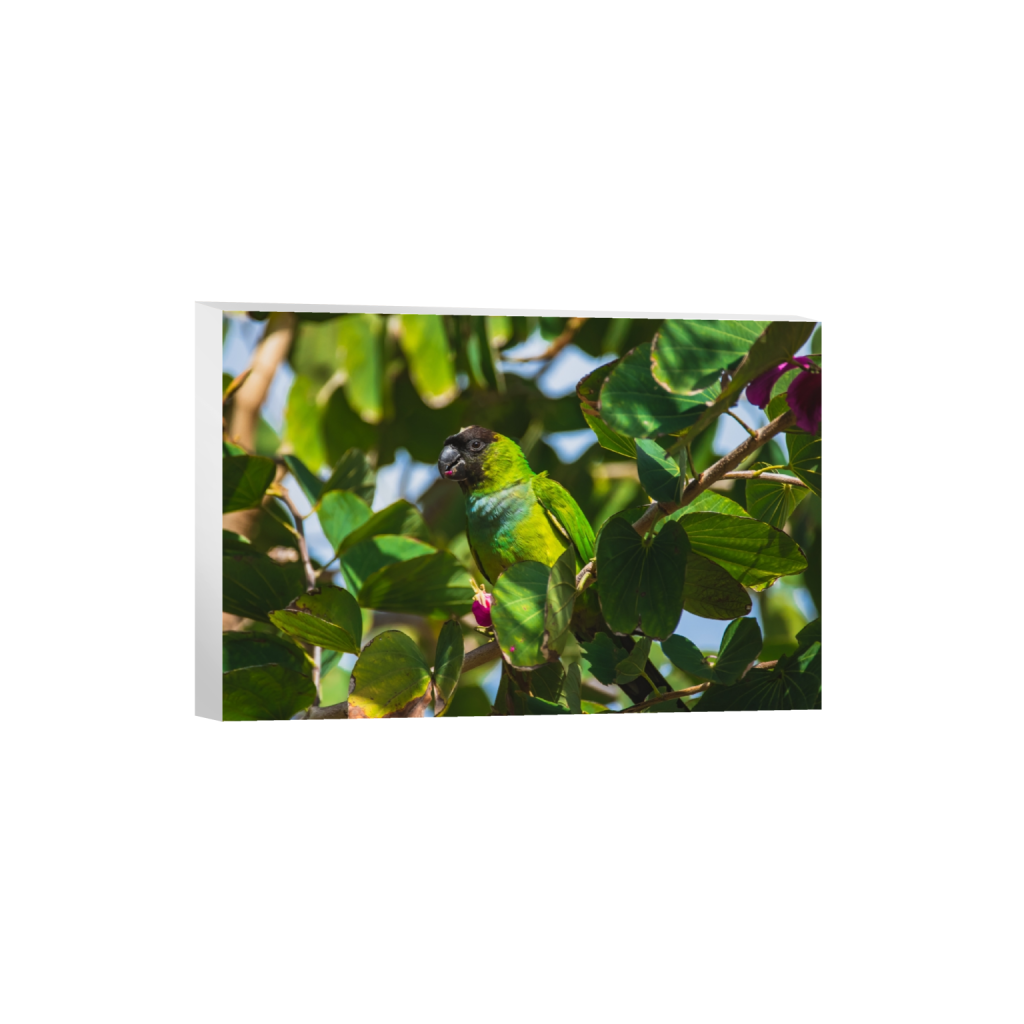 canvas_rectangle2_3_0_1_3989_2659_0.png