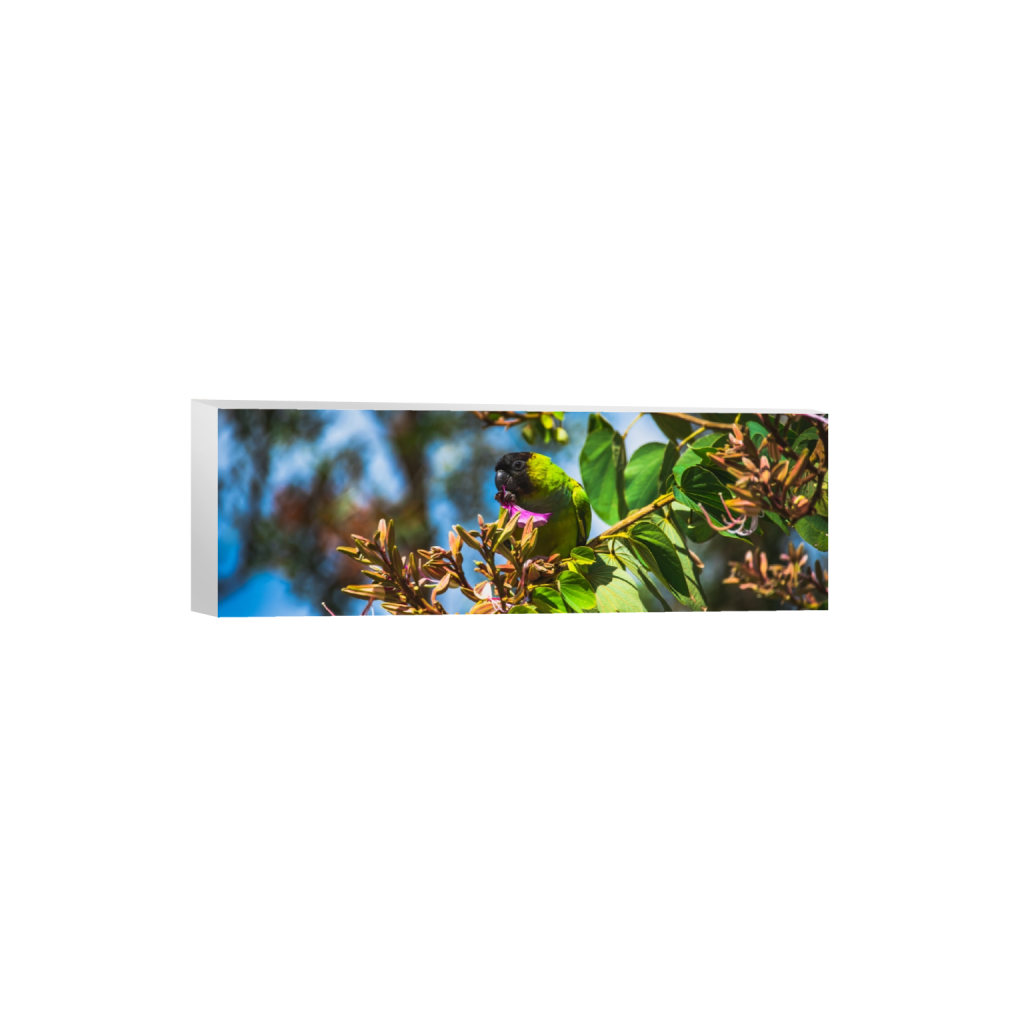 canvas_rectangle1_3_0_1005_6016_2005_0.png