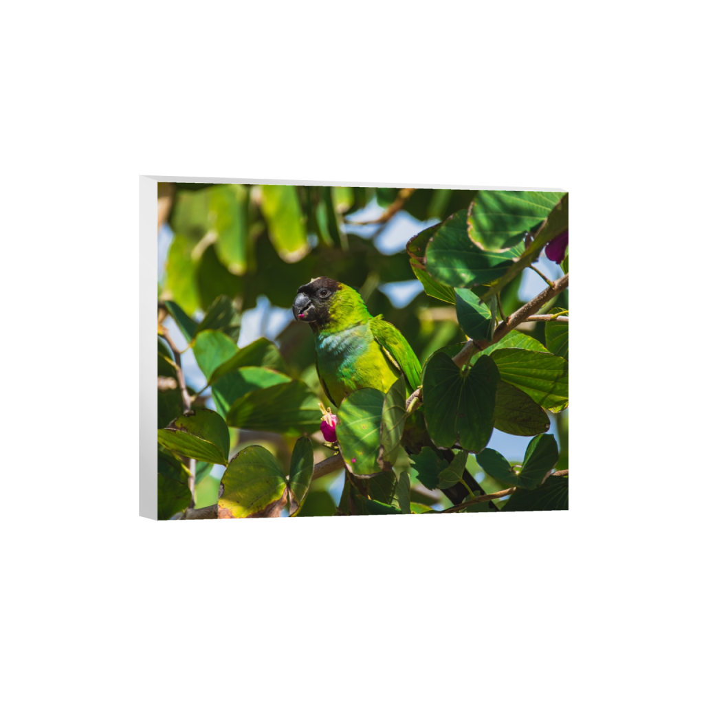 canvas_rectangle4_5_330_0_3328_2663_0.png