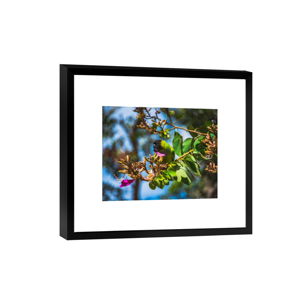 smartframe_rectangle4_5_498_0_5020_4016_0.png