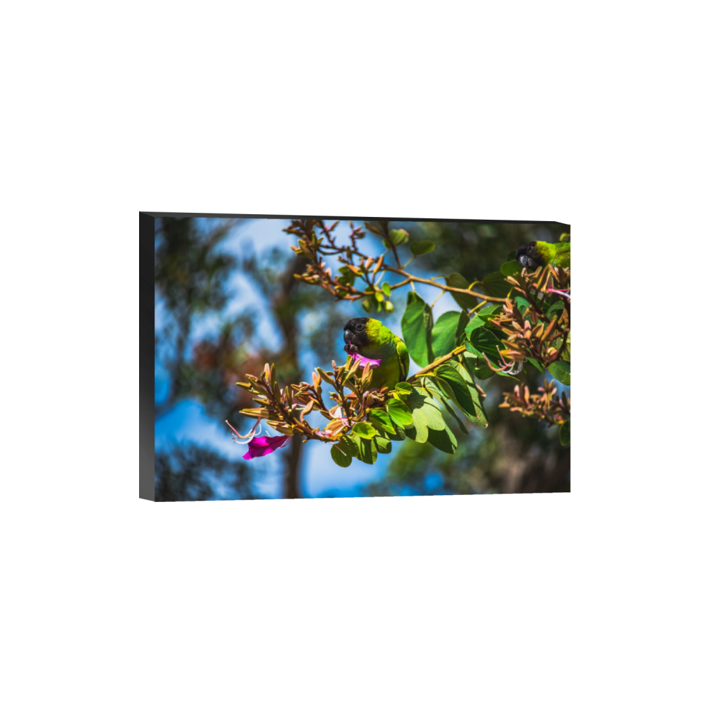 standout_rectangle2_3_0_2_6016_4010_0.png