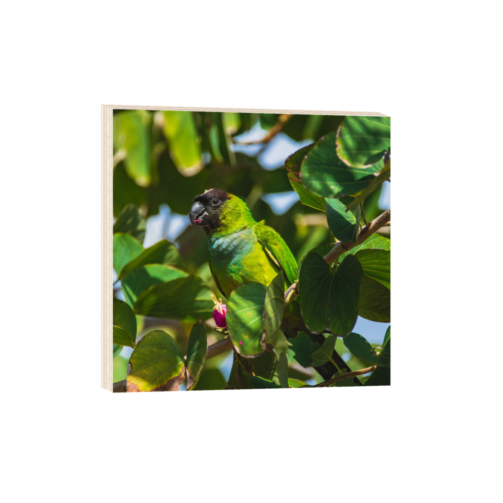 woodprint_square_663_0_2663_2663_0.png