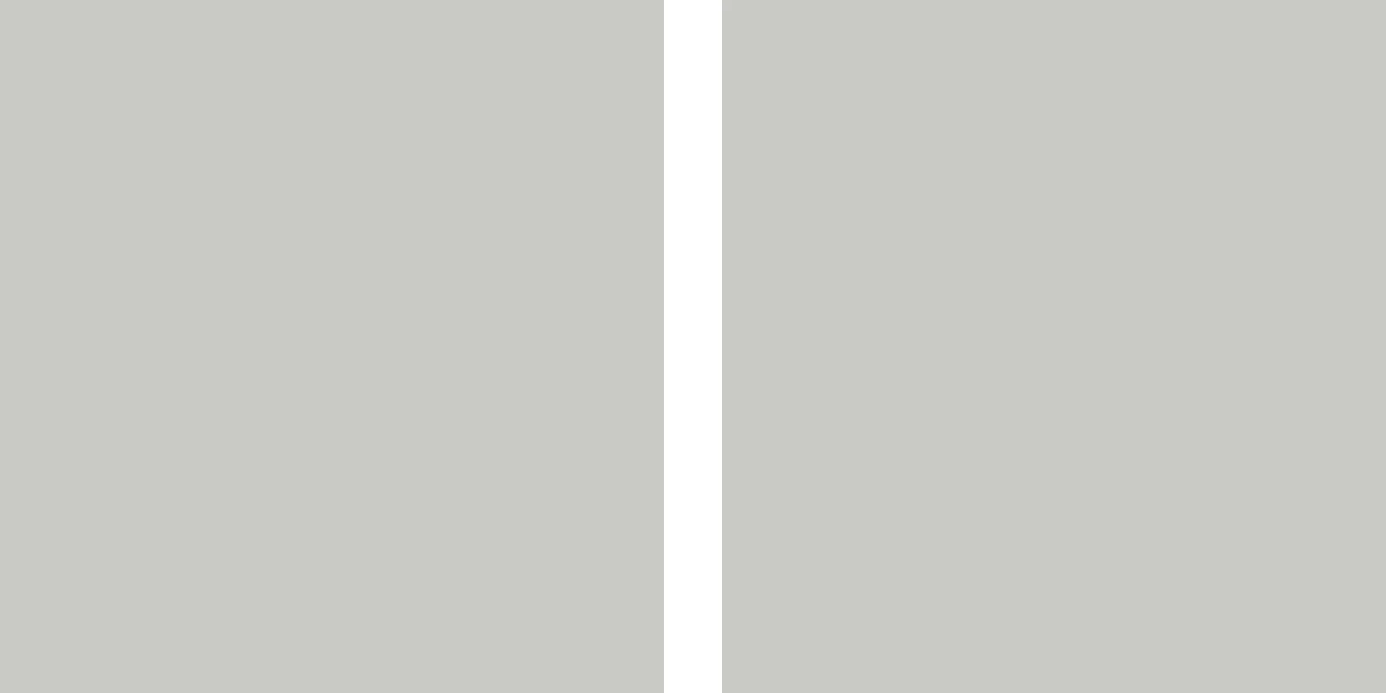 double-gray-square.jpg