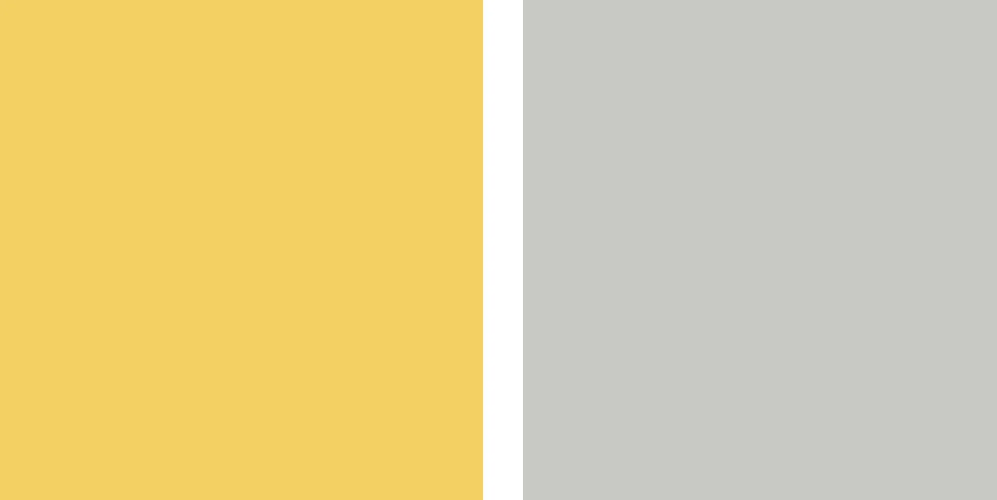 yellowgray_web.jpg