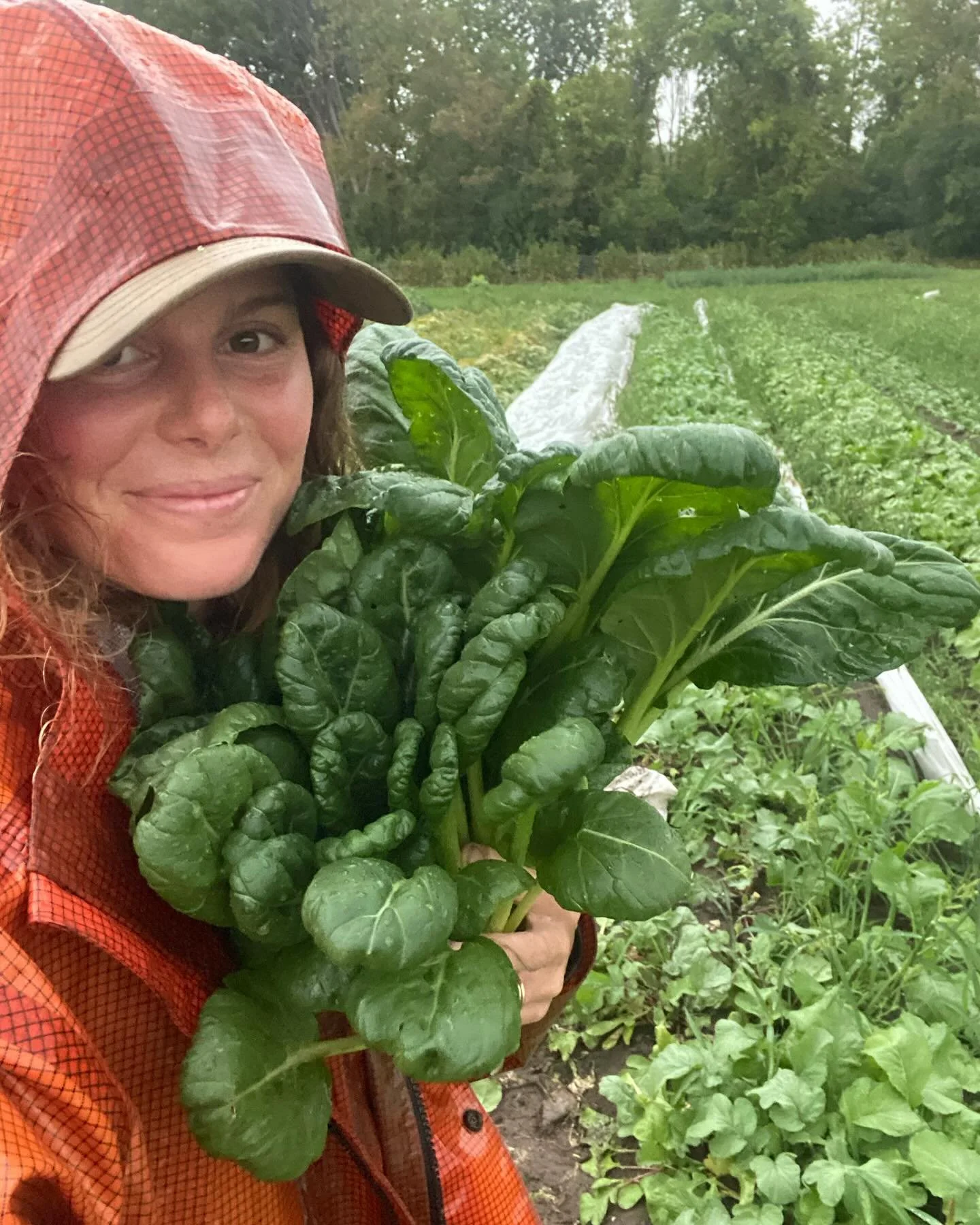 Our 3rd and final CSA of the year kicks off on #wednesday ⚡️ It is always a journey to get here, and this year was certainly no different. From the long, wet Spring to the dry, dry Summer. Still, we made it! 

Lots of food still to pick and lots of m