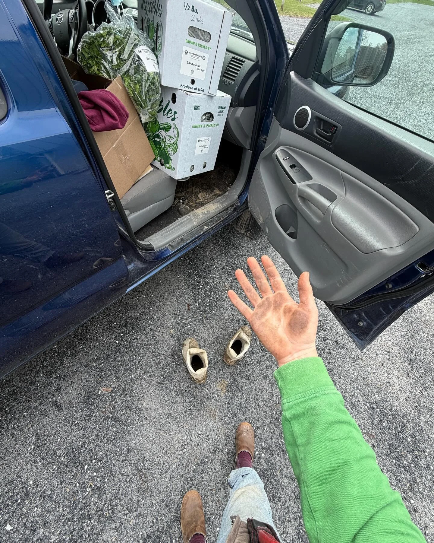 Isn&rsquo;t it ironic?! Remembering clean kitchen shoes for your restaurant delivery but forgetting to wash the potting soil off your hands after a morning in the greenhouse. 

#itsorganicbaby @vermontcompost #isntitironic