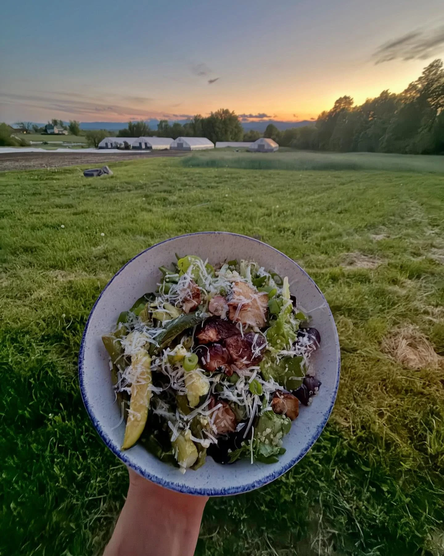 I built the salad bar of my dreams just so I could share it with all of you 🫵

Find all this and more in our store 🌞

OPEN 
Wednesday thru Sunday 12-6
Saturday 10-6