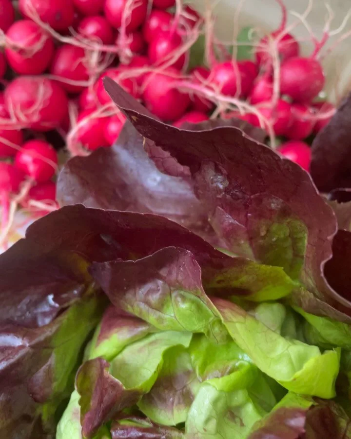 It&rsquo;s #friday and you know what that means‼️

Gearing up for another great weekend @shelburnefarmersmarket 👩&zwj;🌾

Find us on the green 9-1 on Saturday in #shelburne #vermont ⛰️