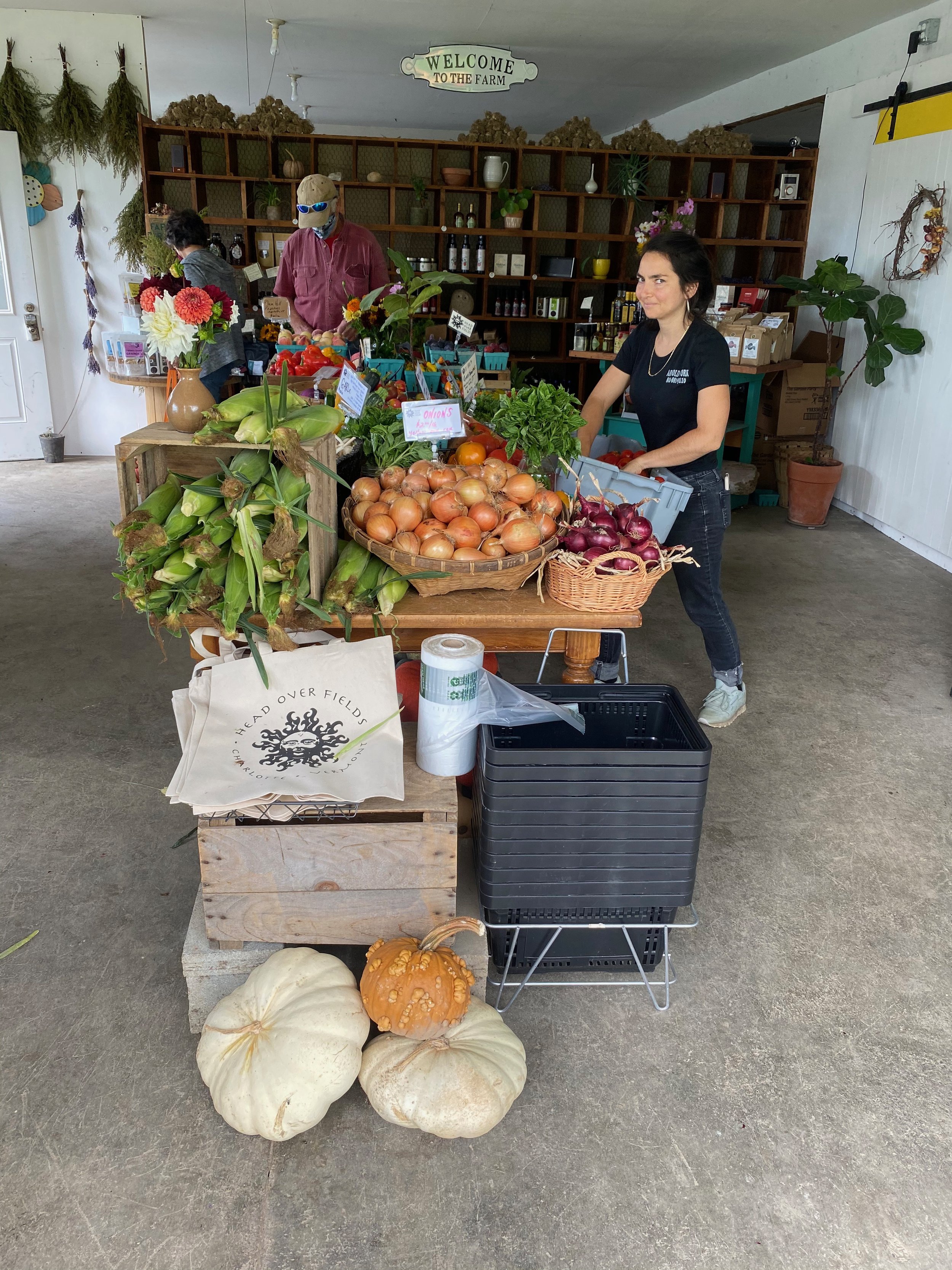 JOBS — HEAD OVER FIELDS