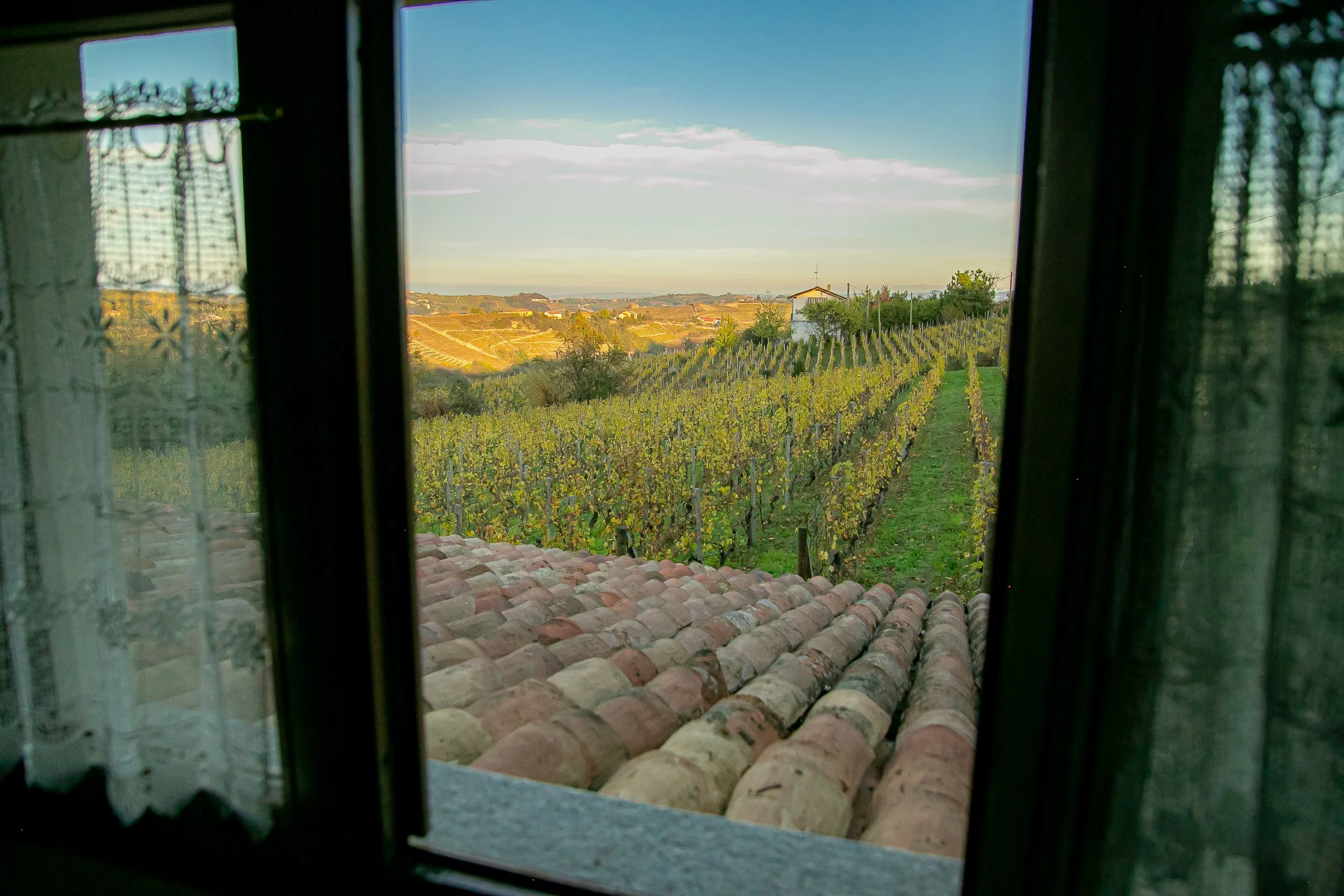 Cadgal winery view over vineyard