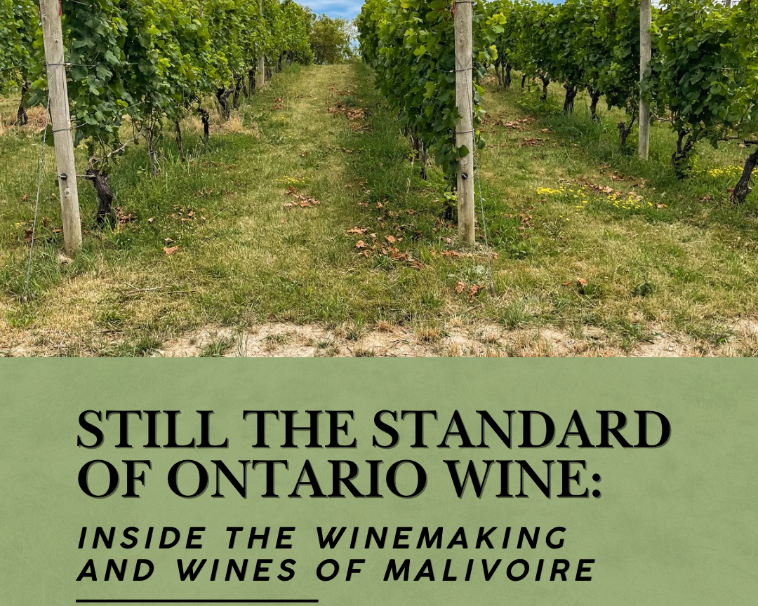 Malivoire wine article Ontario Wine
