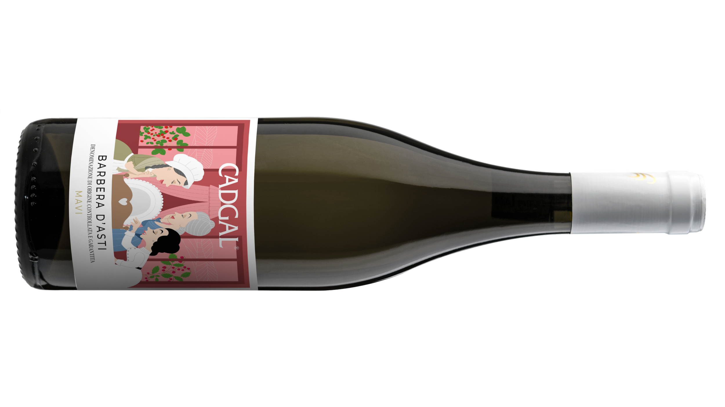 Barbera d'Asti Mavi red wine from Piemonte