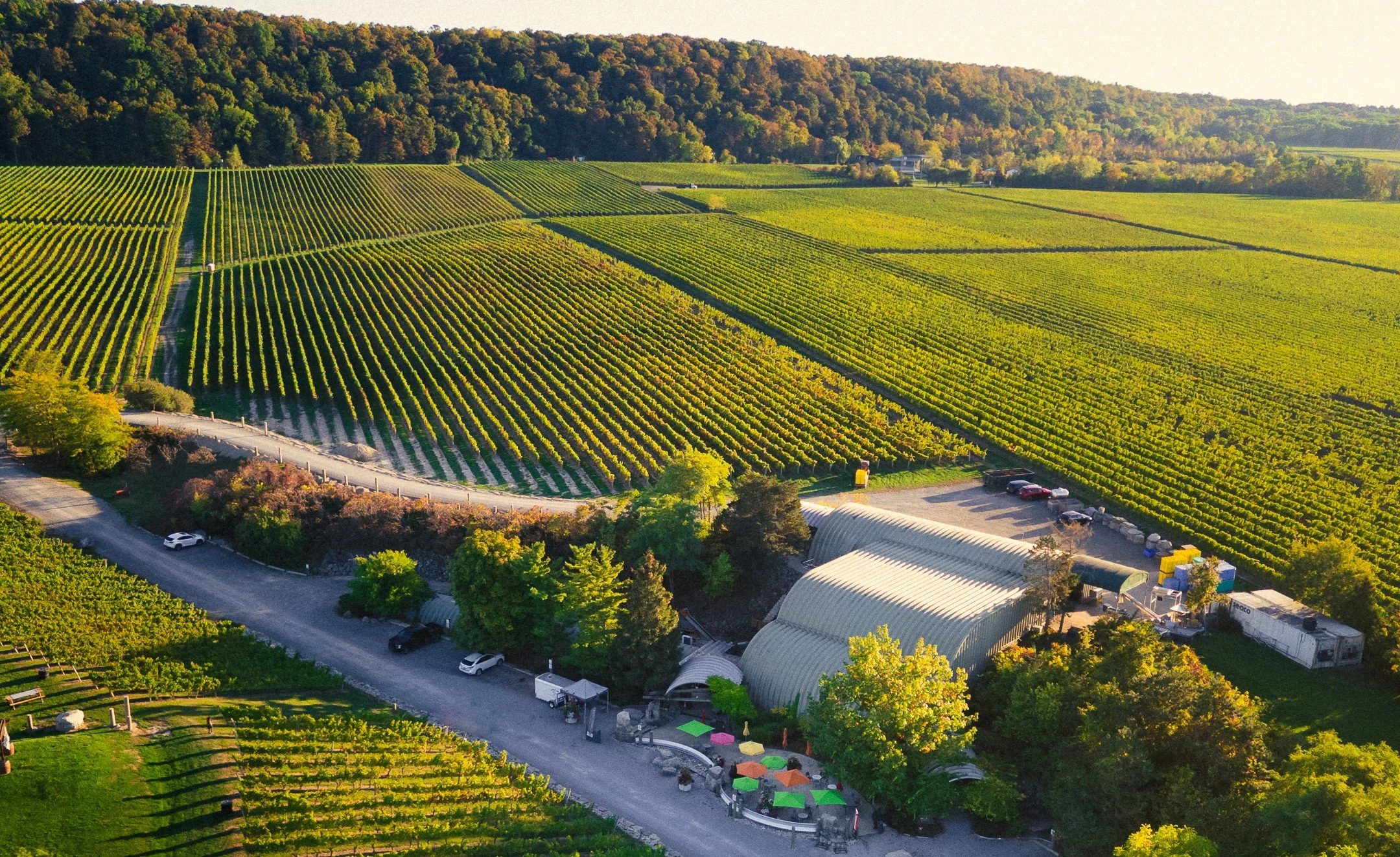 Malivoire Winery and Vineyards