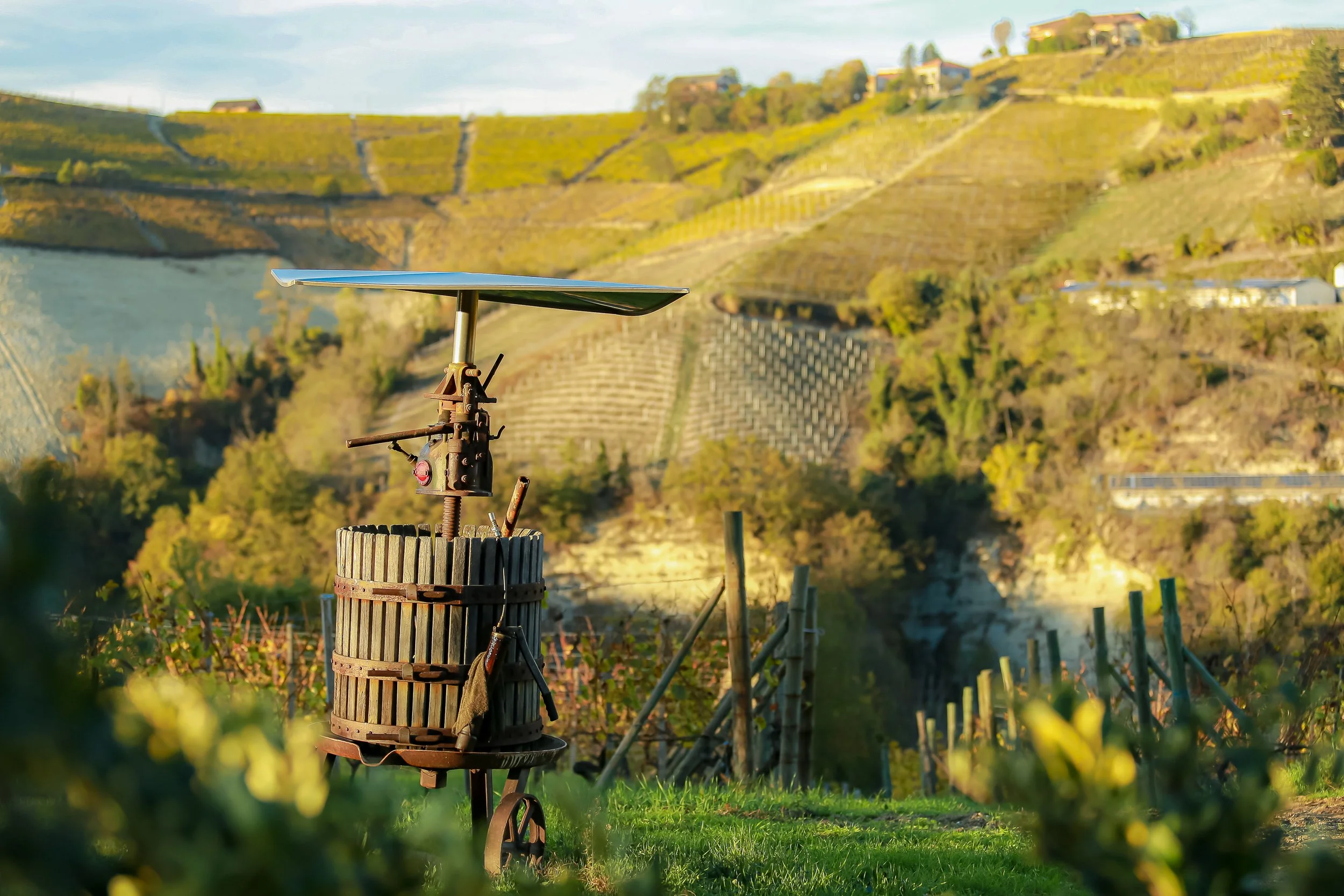 Rediscovering Moscato: How Cadgal is redefining Italy’s most misunderstood wine