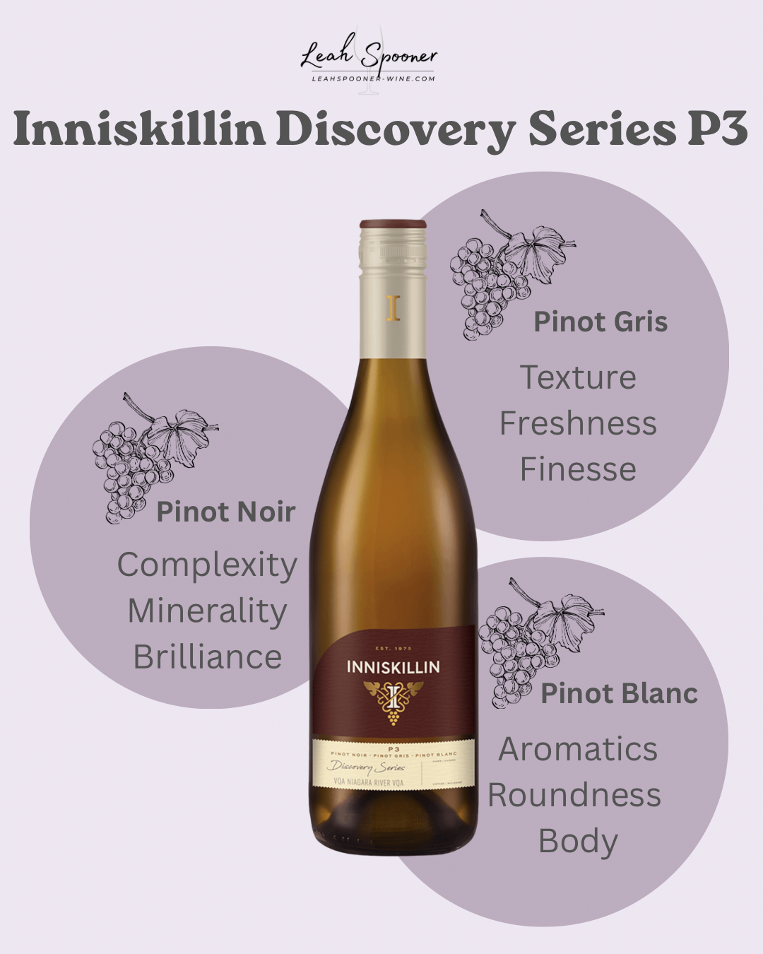 Inniskillin Discovery Series P3 infographic white blend