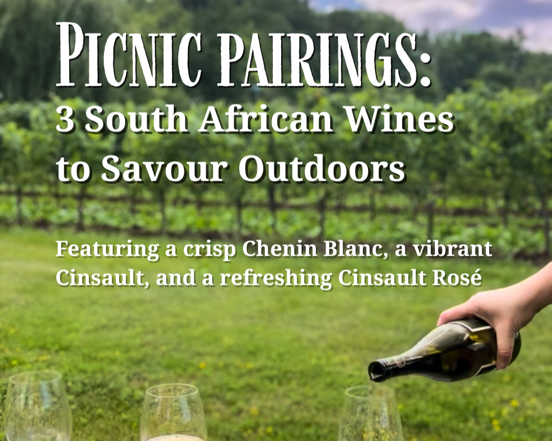 South African Wine Picnic Pairings to Savour Outdoors