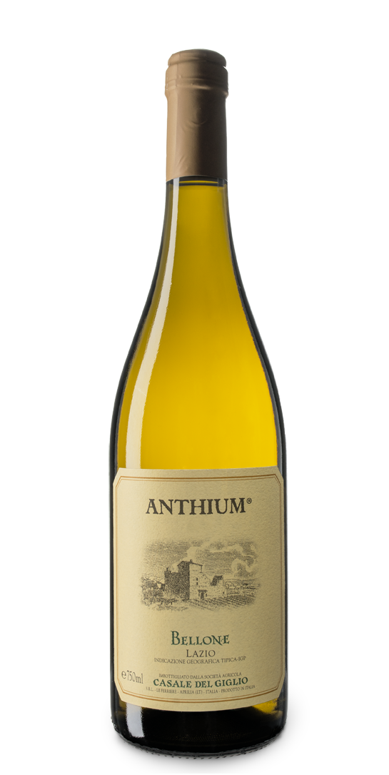 Casale del Giglio Anthium Bellone Lazio IGT 2024