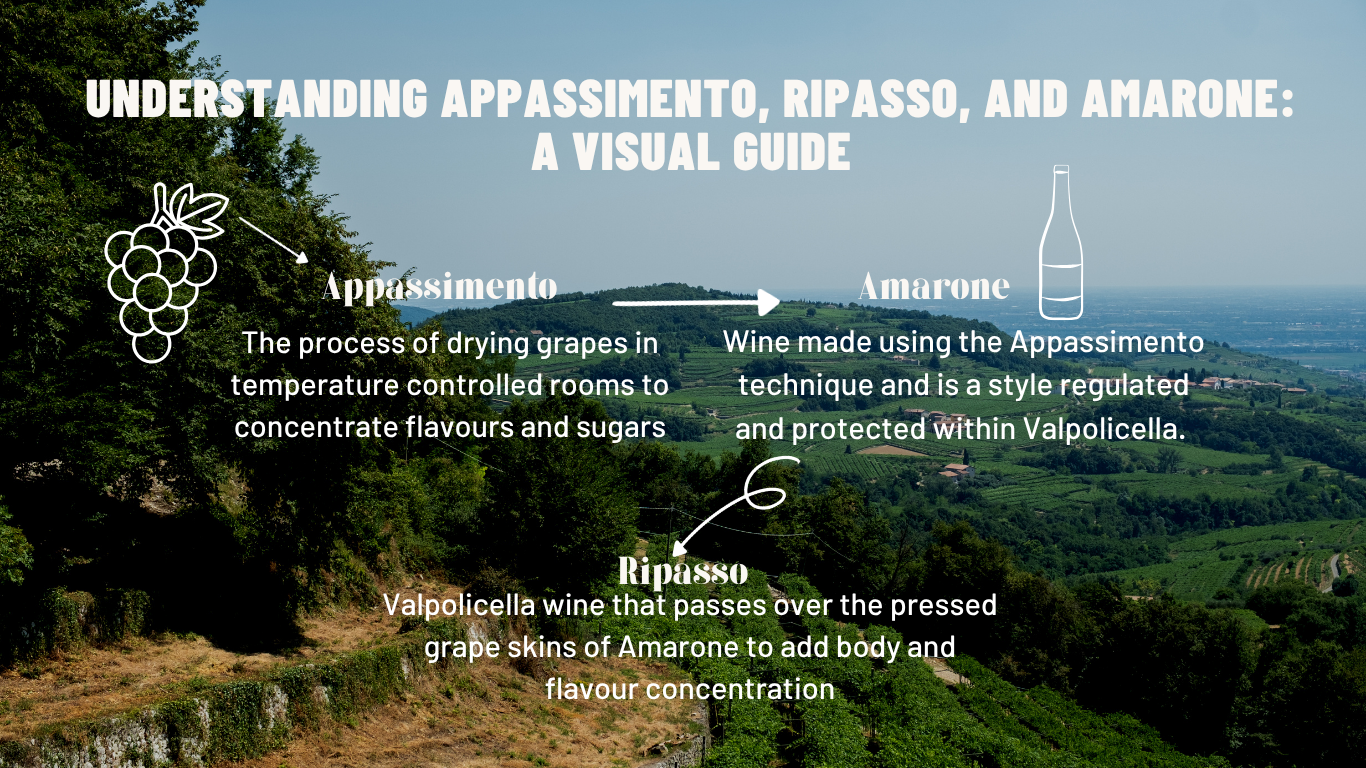Understanding Appassimento, Ripasso, and Amarone: A Visual Guide