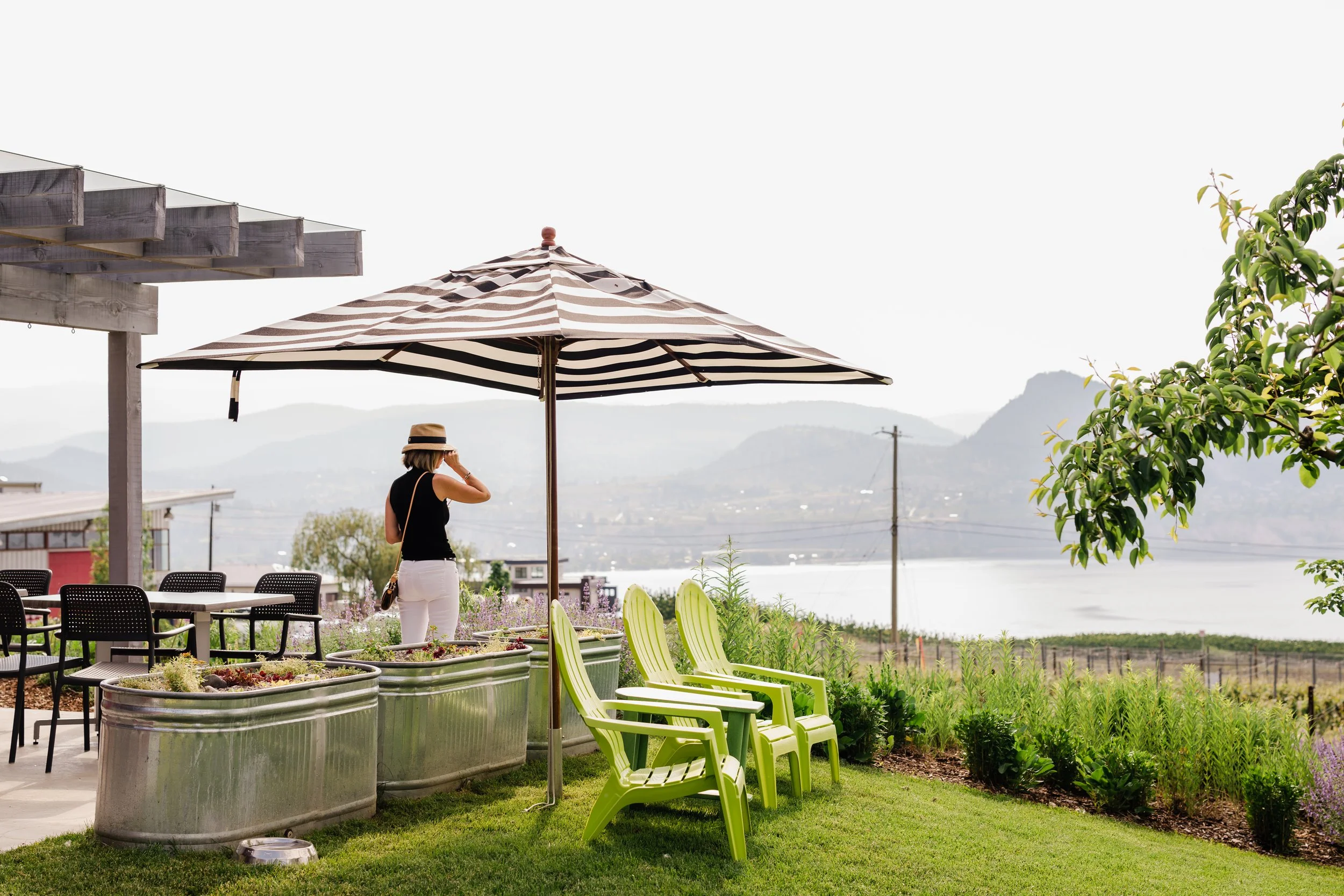 JoieFarm Winery: Replanting a Legacy