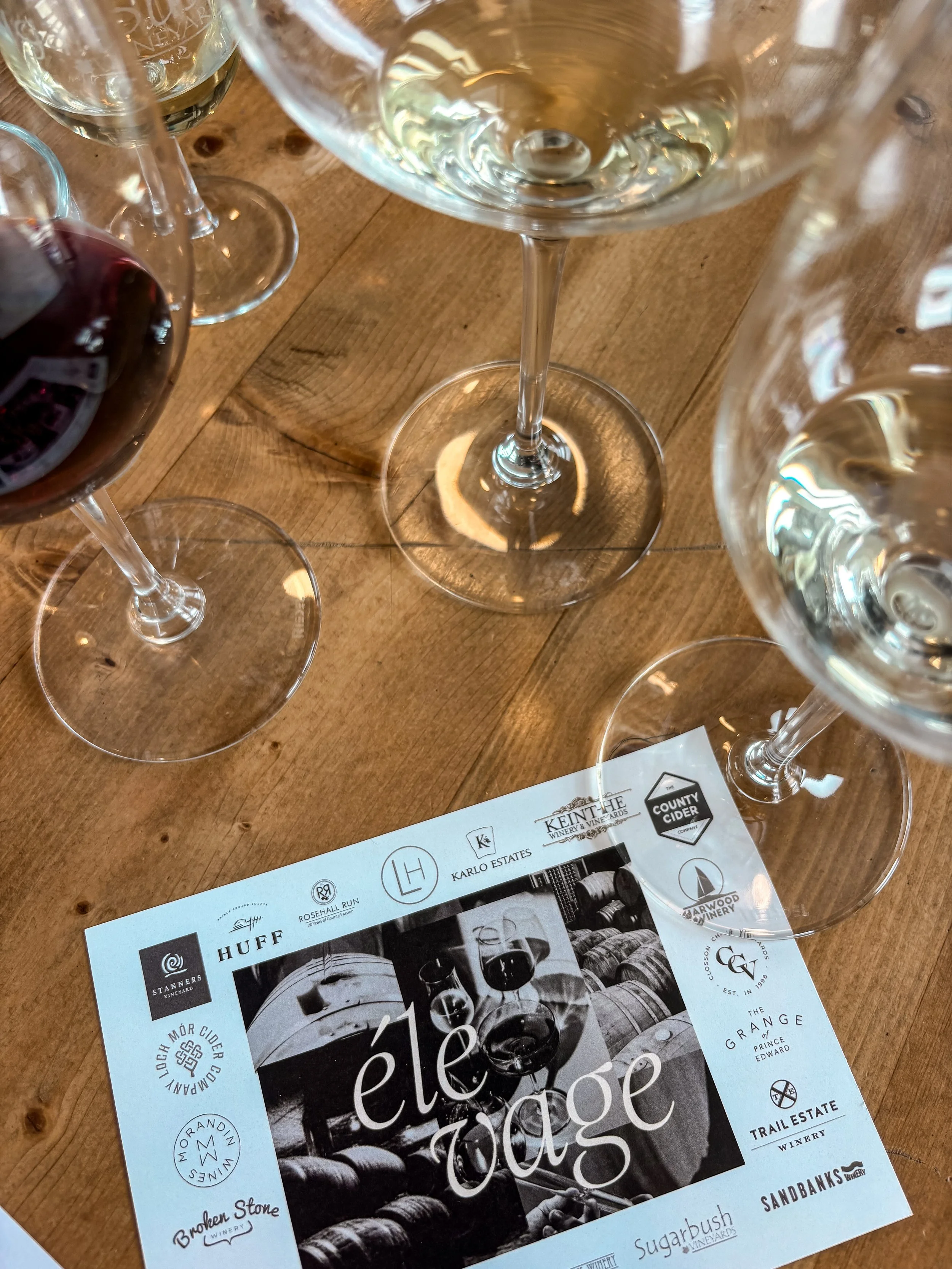 The Art of Élevage: Inside Prince Edward County’s Winter Wine Festival 2026