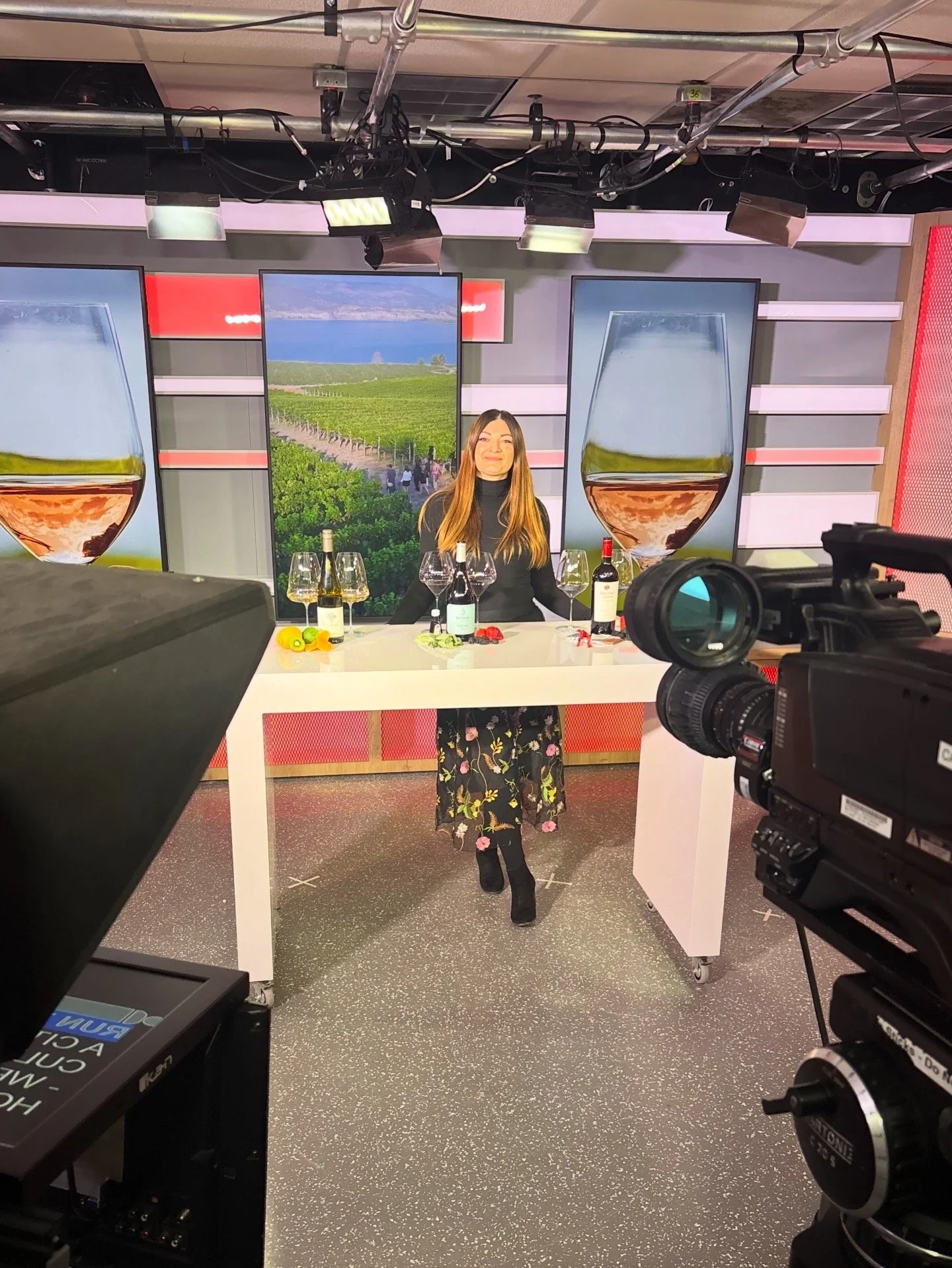 Leah Spooner -Wine on CTV Things to Know - BC Wine Country