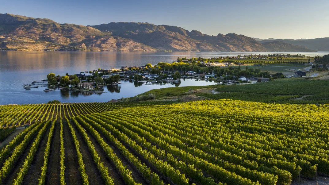 Quail's Gate Estate Vineyards in Okanagan, B.C.