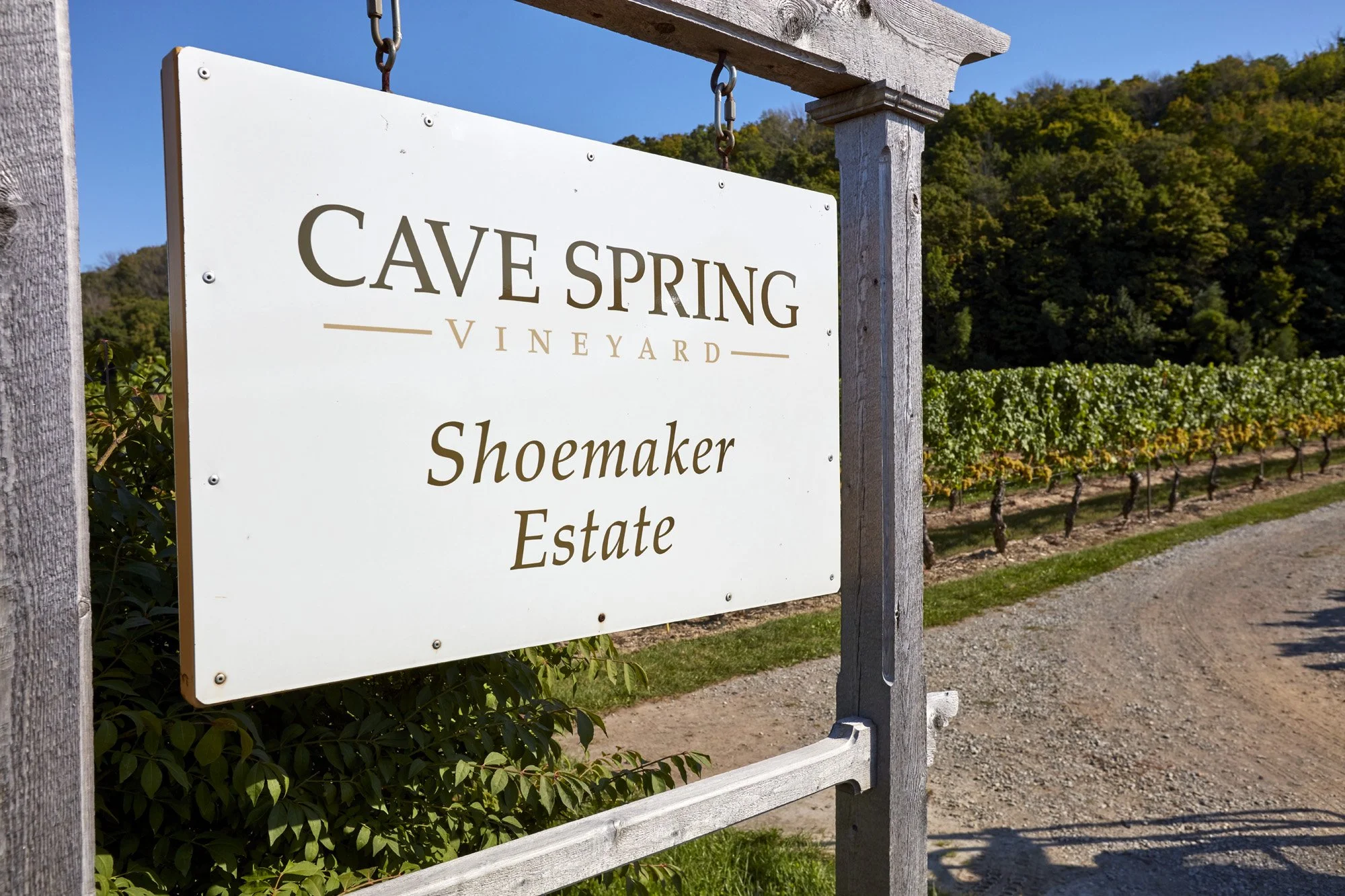Cave Spring Vineyard Niagara