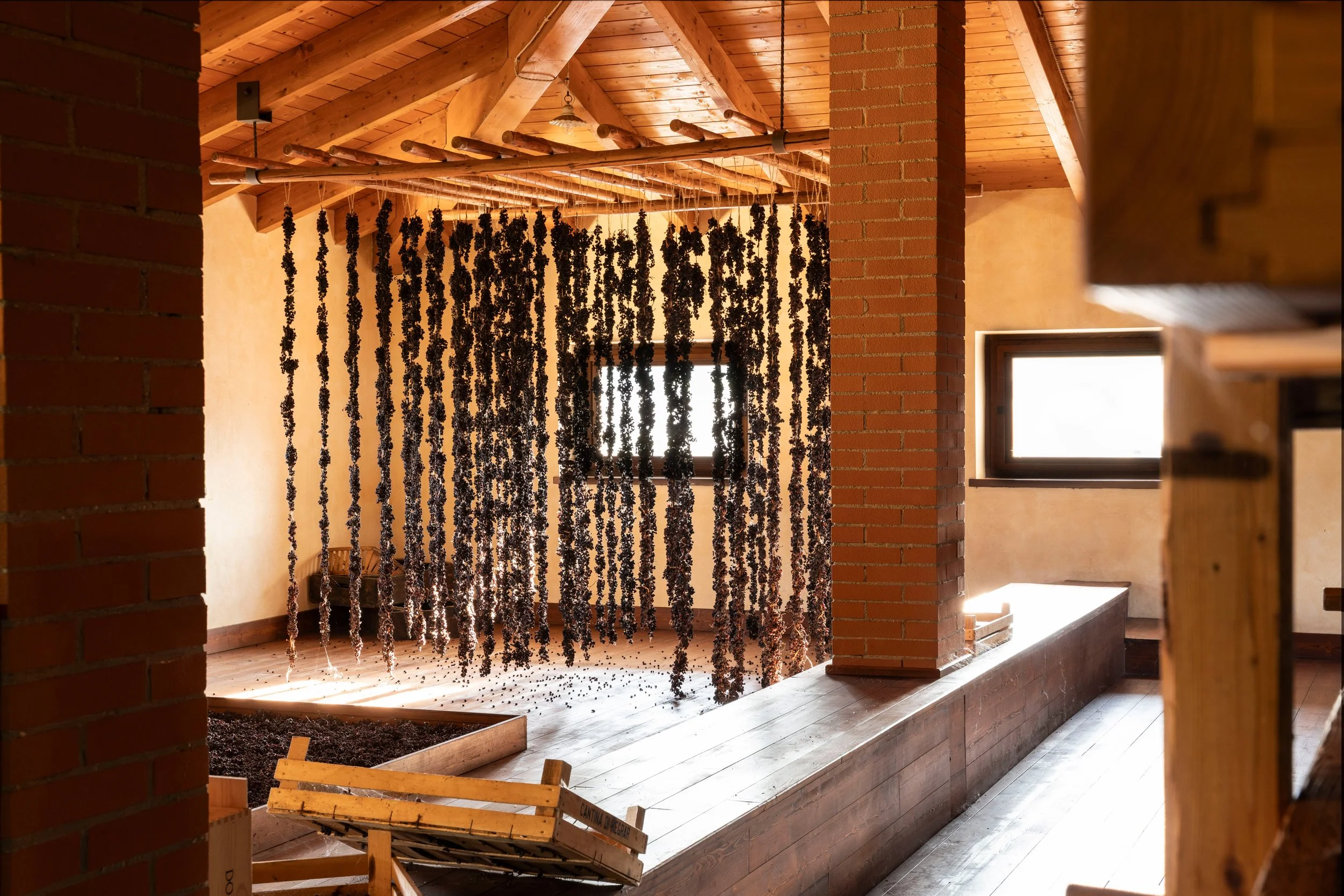 Drying and hanging grapes