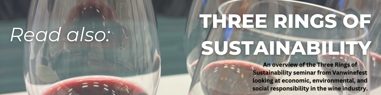 Read also: Three Rings of Sustainability article banner