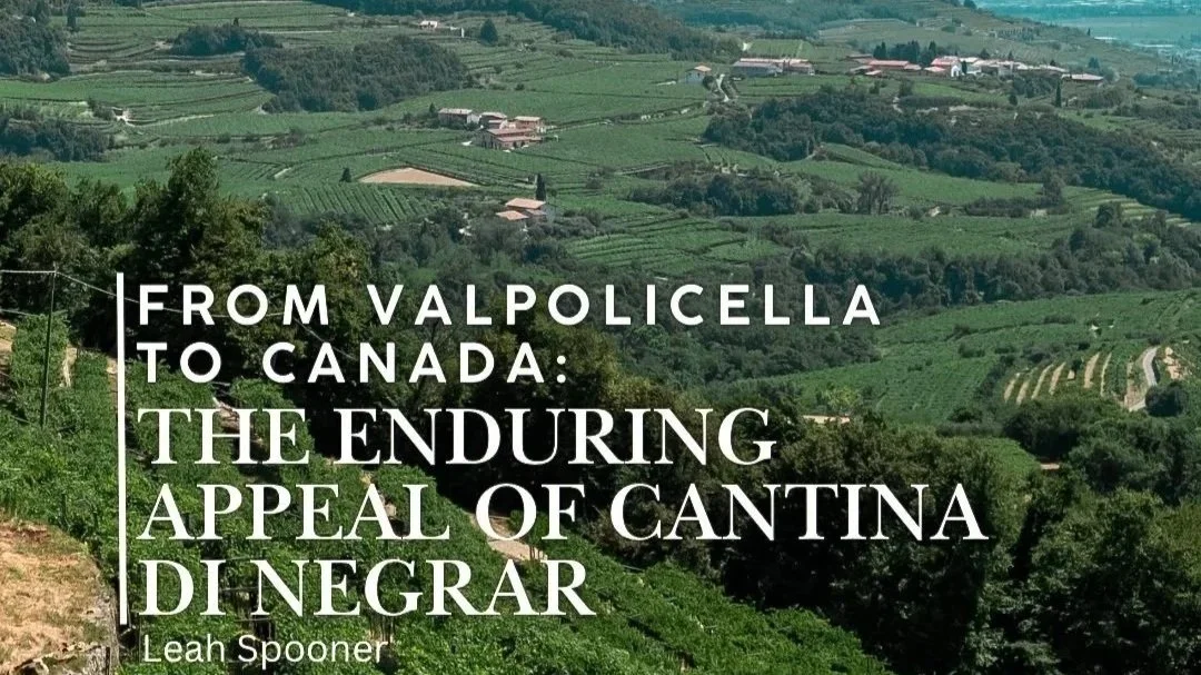 From Valpolicella to Canada wine article
