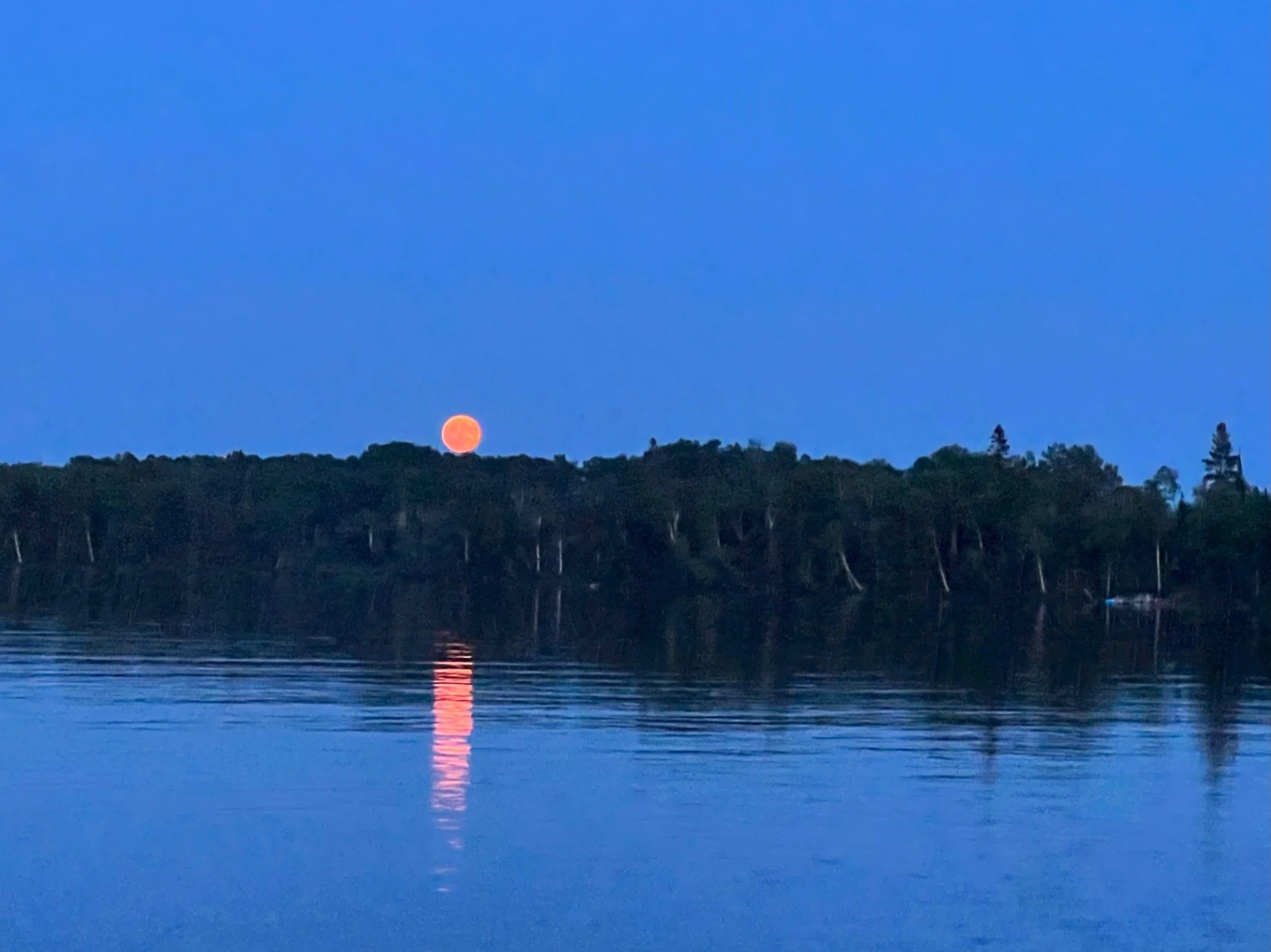 Floating Sauna — Sisu + Löyly Nordic Sauna