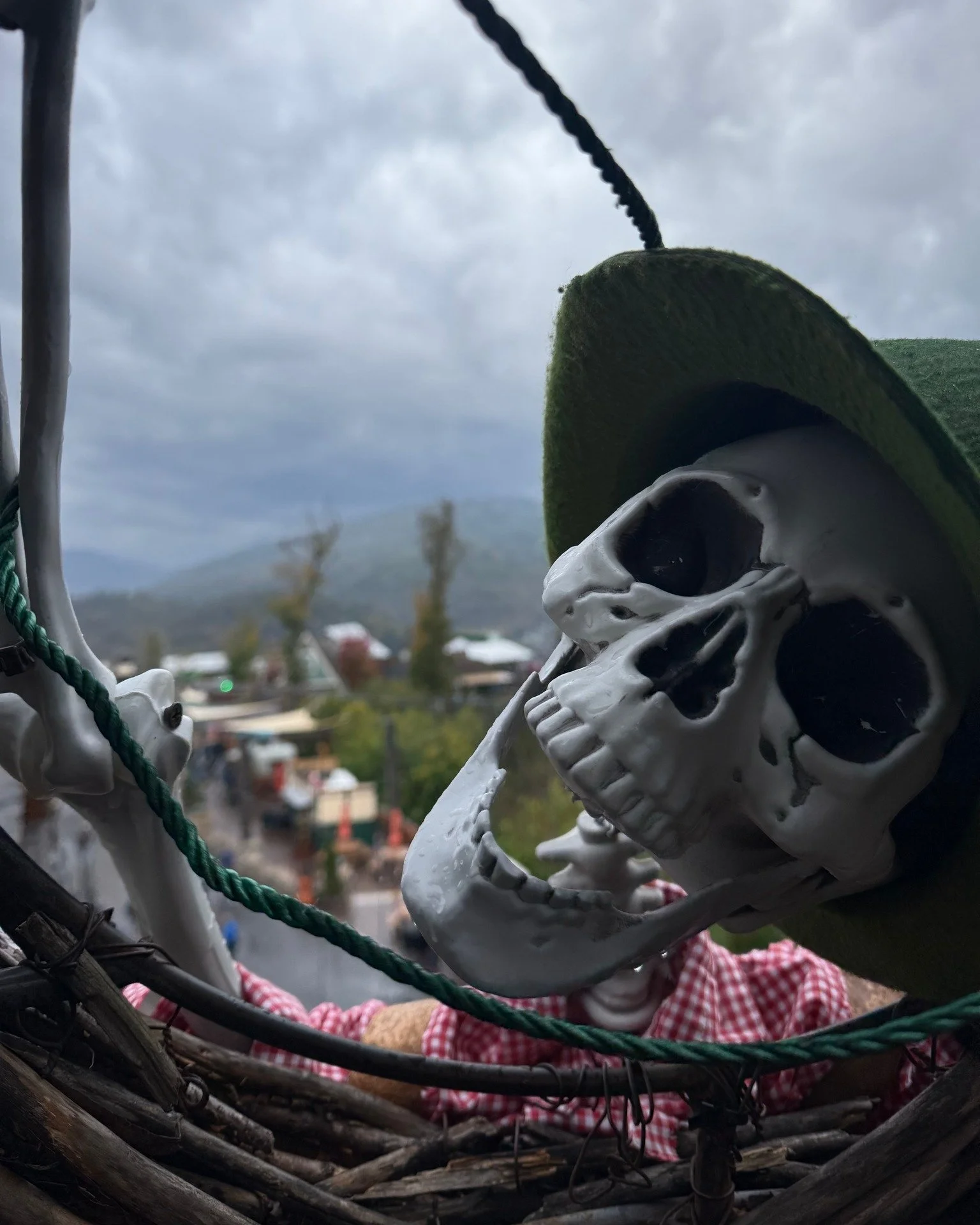 👻🌙 A little Halloween sighting from Karl&rsquo;s recent Smoky Mountains adventure&hellip;

Spotted this skeleton sneaking a peek through the bird&rsquo;s nest at Anakeesta Park in Gatlinburg, TN. 🪶 💀
Guess even the locals are keeping an eye on th
